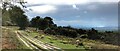 View SSW from a track west of Duddleswell Tea Rooms