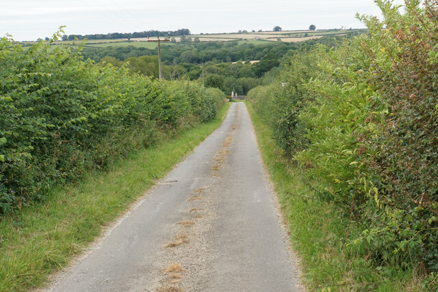 Lane to Tangley