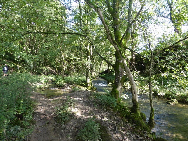 The path to Janet's Foss through Stony Bank Wood