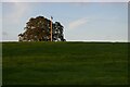 Field south of Frankton Hall