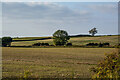 Staveley : Grassy Field