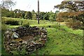 Knopley Mine Shaft, Allenheads