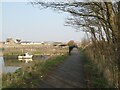 NX9929 : Footpath and cycleway, Town Quay by Adrian Taylor
