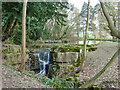 Pond on Hartsbourne Stream