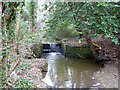 TQ1293 : Weir on Hartsbourne Stream by Robin Webster