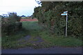 Footpath to Hanging Spinney