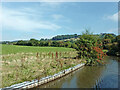 Canalside pasture near Macclesfield in Cheshire