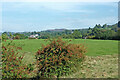 Cheshire pasture near Hurdsfield, Macclesfield