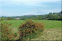 SJ9273 : Cheshire pasture near Hurdsfield, Macclesfield by Roger  D Kidd