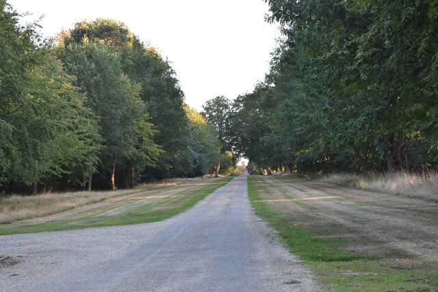Avenue and driveway, Stutton Hall