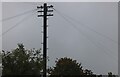 Traditional telegraph pole on Southill Road, Cardington