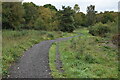 Well-made path on Dewlands Common