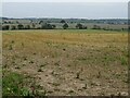 Farmland at Pirton