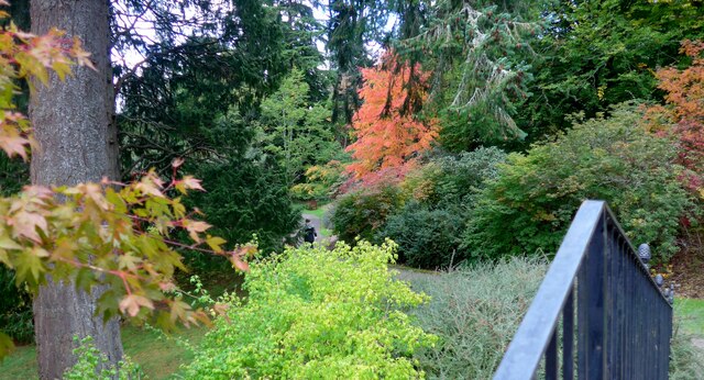 Autumn colour at Dawyck Botanic Garden