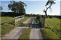 Cattle grid on farm track off Butterwick Road