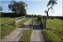 NZ3629 : Cattle grid on farm track off Butterwick Road by Ian S