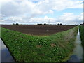 TF5408 : Flat farmland and drains by JThomas