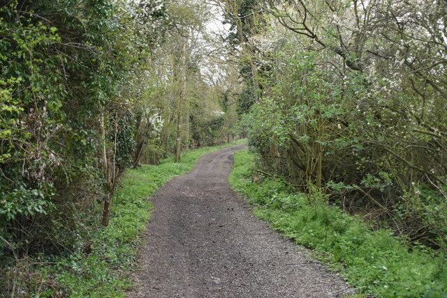 Footpath, Bonhunt Springs © N Chadwick :: Geograph Britain And Ireland