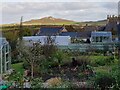 A Bryn Road garden with a distant Carn Llidi 