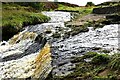 Weir on River East Allen near Burn Foot