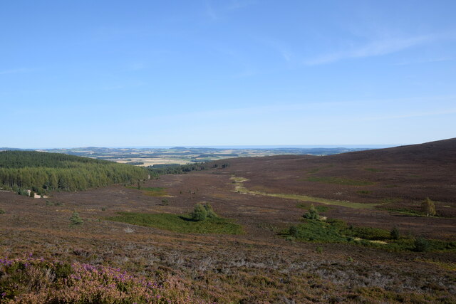View towards the source of Landerberry Burn