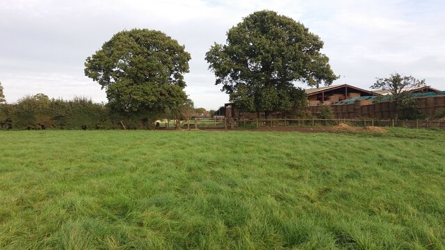 Path at Manor Farm