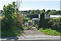 Ramslye Allotments