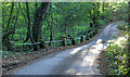 Bridge in a Wood