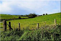 H4869 : Aghagallon Townland by Kenneth  Allen