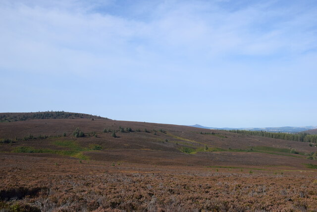 Moorland landscape