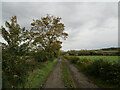 Farm track near Coe Farm