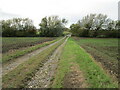 Farm track and footpath to Coe Farm