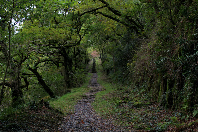 The Old Incline above Nant Gwernol Station