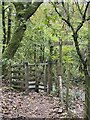 Footpath and kissing gate