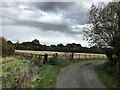 Track and Footpath Junction near the Southwell Trail