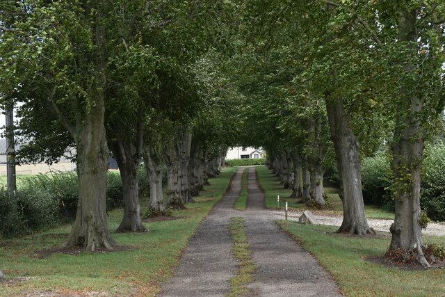 Avenue and driveway to Moat Farm