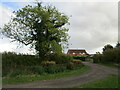 Roadway to Redcap Farm