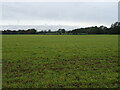 Farmland off Thursford Road