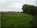 Farmland and woodland, Guist Bottom