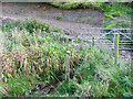 Footpath crossing Blackshaw Beck, from Clayton to Shelf