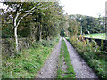 Bradford South Footpath 583 on the lane to Low House, Clayton