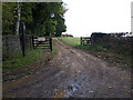 Track alongside Pinkney Wood