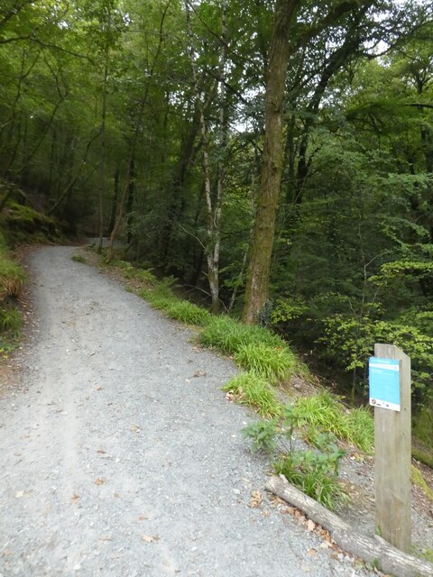 Start of mountain bike trail in Colwill Wood