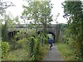 Road bridge at Marsh Mills over West Devon Way