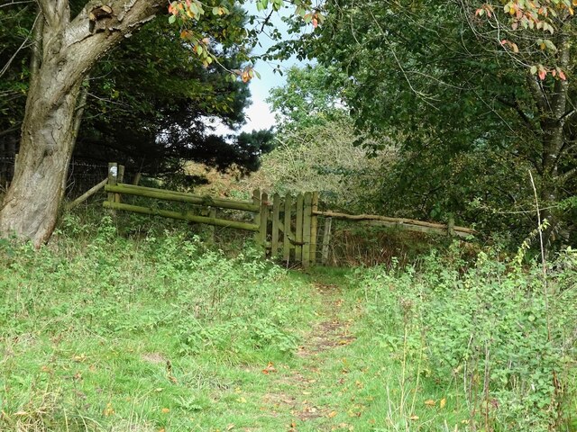 Gate on a footpath to Greysich Farm