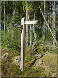 NJ4358 : Fishwives' Path Signpost by Anne Burgess