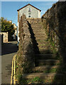 Steps, South Street, Totnes