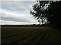 Stubble field near Ganthrops