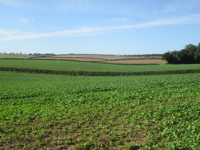 A  Wolds  view  from  near  Wold  Farm