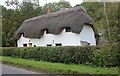 SP6919 : Thatched cottage on Grendon Road, Kingswood by David Howard